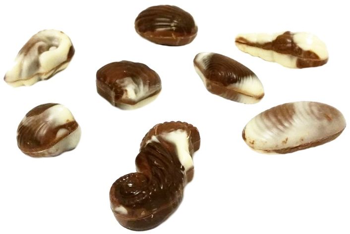 Vanden Bulcke, 20 Chocolate Seashells with hazelnut filling, bombonierka owoce morza z czekoladą mleczną i czekoladą białą z nadzieniem - kremem orzechowym, copyright Olga Kublik