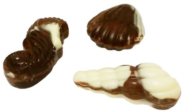 Vanden Bulcke, 20 Chocolate Seashells with hazelnut filling, bombonierka owoce morza z czekoladą mleczną i czekoladą białą z nadzieniem - kremem orzechowym, copyright Olga Kublik