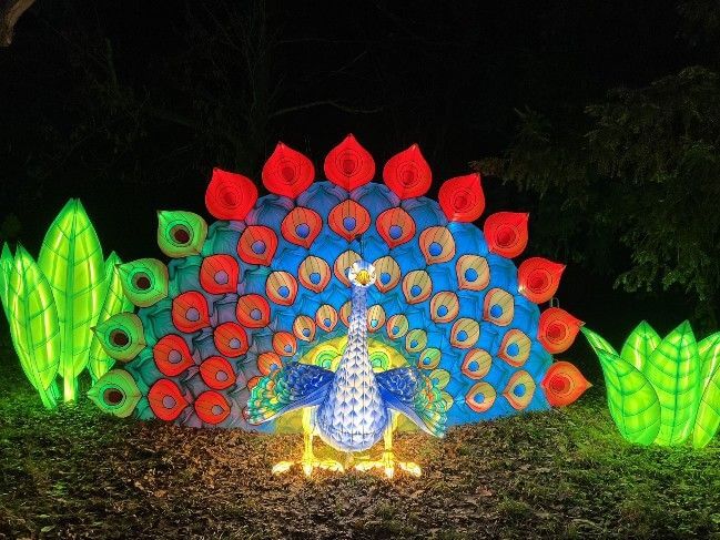 Ogród iluminacji Garden of Lights Wrocław