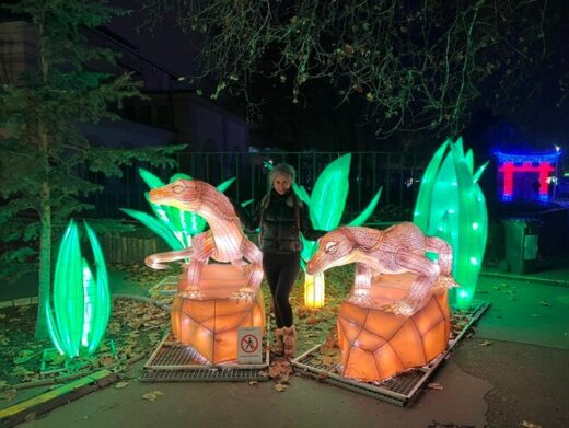 Garden of Lights Wrocław zoo zimą