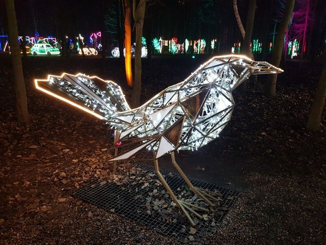Ogród iluminacji Lumina Park Wrocław