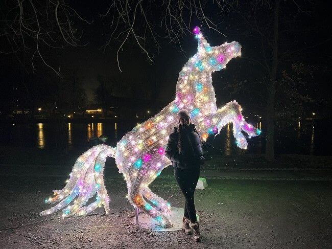 Wystawa światełek Wrocław Lumina Park