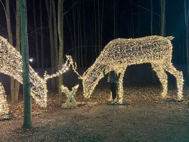 Iluminacje Wrocław Zamek Topacz Lumina Park