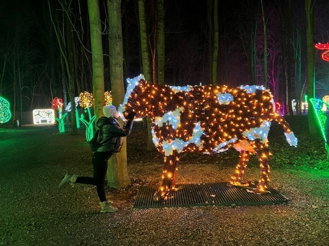 Światełka Wrocław Lumina Park