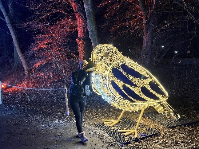 Iluminacje świetlne Wrocław Lumina Park